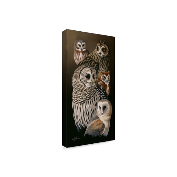 Wilhelm Goebel 'Eyes Of The Night Owls' Canvas Art,12x24